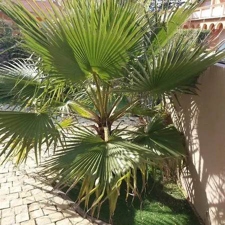 Relax Garden Villa